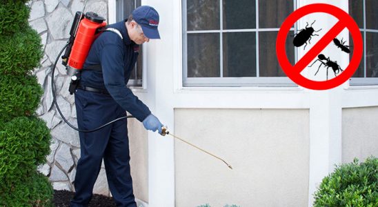 Karapınar Bit İlaçlama böcek ilaçlama ve haşere kontrolü — ilaclama-tr.com